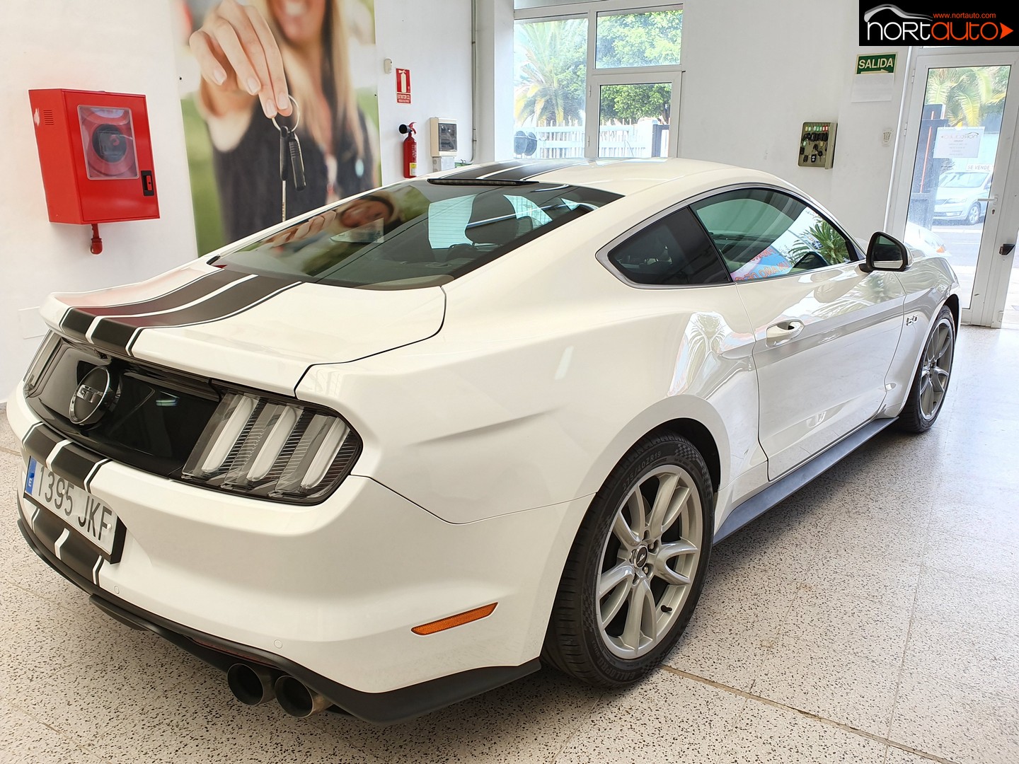 FORD Mustang 5.0 TiVCT V8  Mustang GT Fastsb.